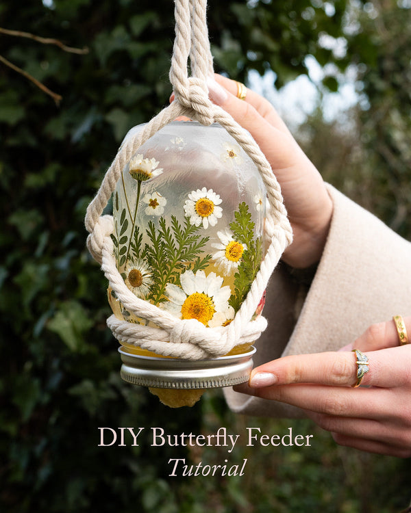 DIY Mason Jar Butterfly Feeder: A Random Act of Kindness for Nature