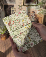 Meadow Creatures Notebooks Pack Of 3